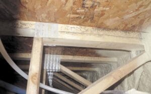 A view of a wooden attic structure with beams and metal straps, showing signs of black mold on the wood.