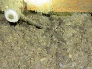 Removing Knob And Tube Wiring Buried In Insulation