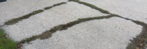 Cracked concrete driveway with weeds growing in open joints