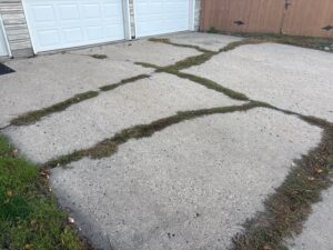 Cracked concrete driveway with weeds growing in open joints