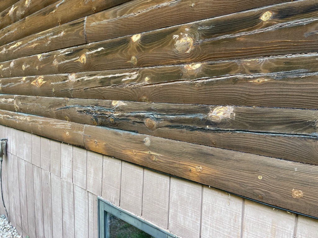 Dark, weathered lower log courses with wood rot just above the foundation of a log home