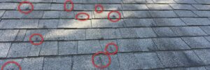 Hail impact marks circled on an asphalt shingle roof, found during a Nordic home inspection