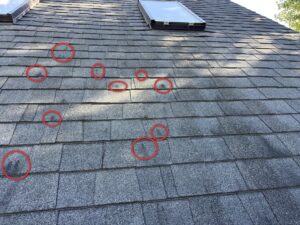 Hail impact marks circled on an asphalt shingle roof, found during a Nordic home inspection