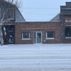 A snowy street in front of a row of brick buildings, including a real estate office, with snow accumulating on the ground and on the tree.